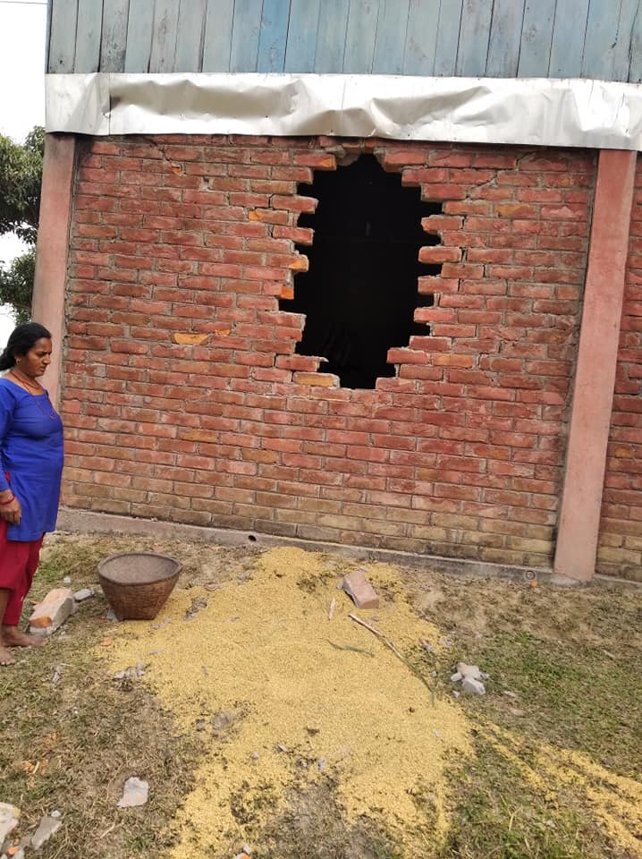 चुलाचुलीमा जंगली हात्तीको आंतङ्क, स्थानिय चिन्तित