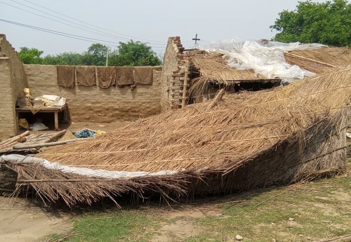 हावाहुरीका कारण हजार विघा भन्दा बढी क्षेत्रमा लागाईएको वालीमा क्षती, घरको छानो उडायो