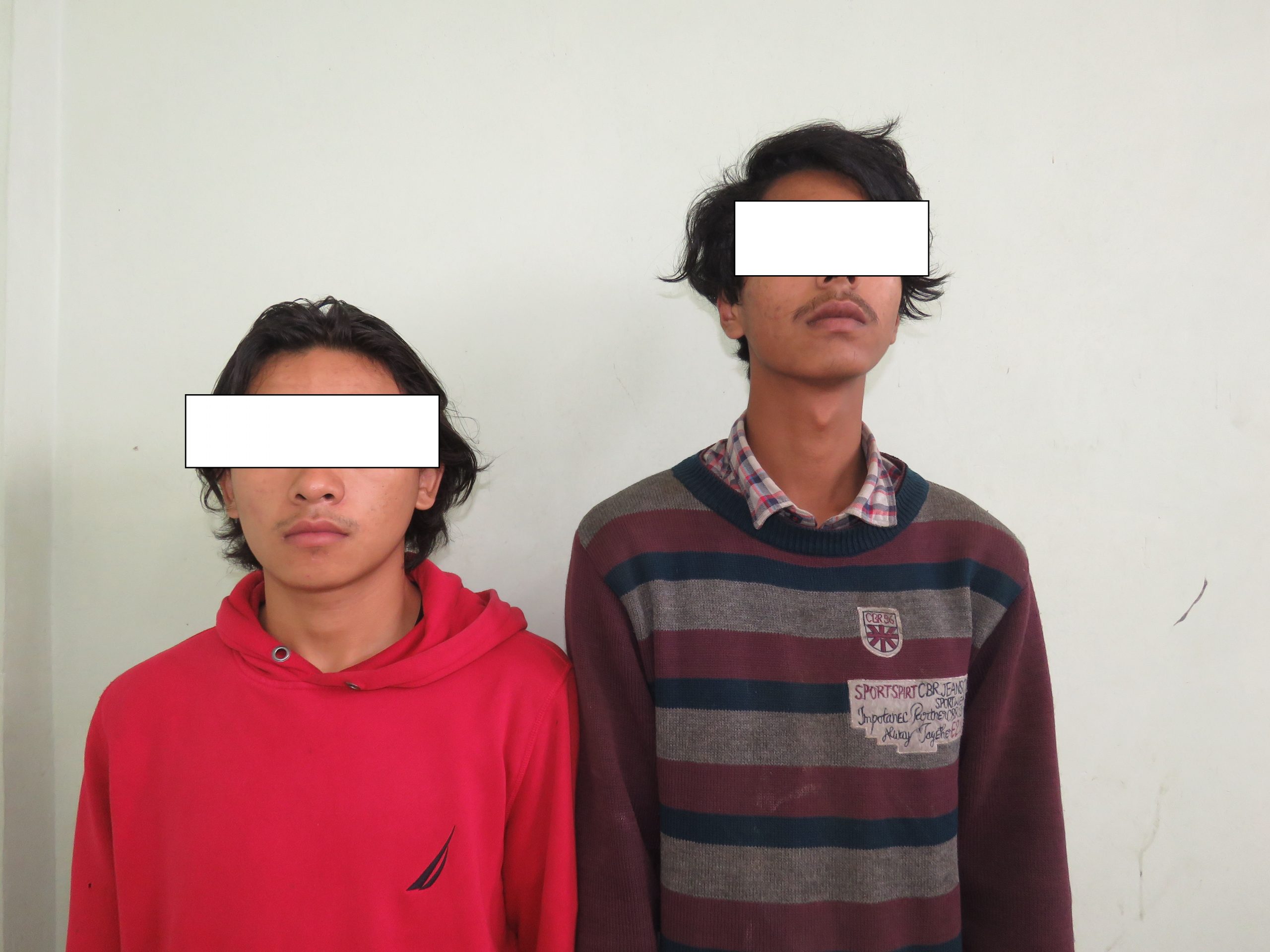 पार्किङ गरी राखेको मोटरसाईकल तोडफोड गर्ने इलामका दुई जना पक्राउ