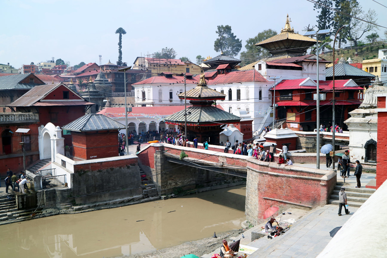 पशुपतिनाथको मन्दिर आजदेखि खुल्यो