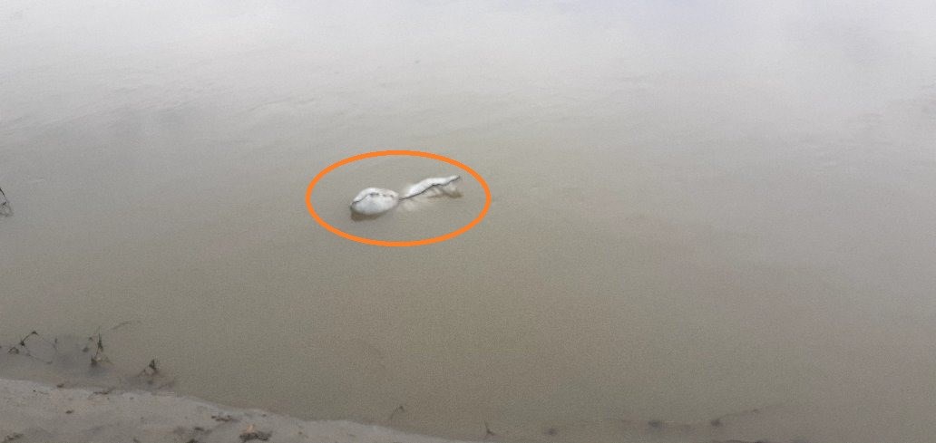 हात खुट्टा बाँधेर बोरामा फालिएको अवस्थामा शव फेला