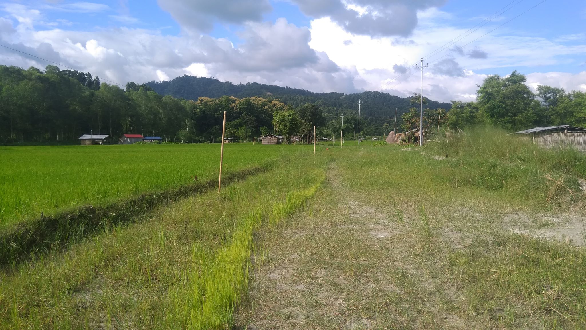 कित्ताकाट खुलाउने तयारीमा सरकार