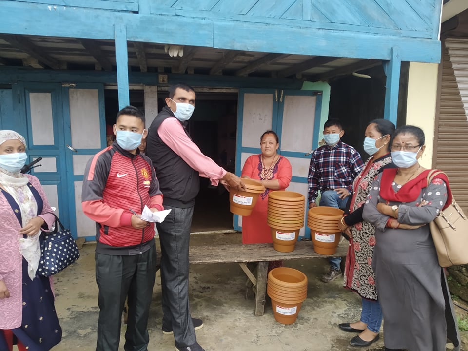 पर्यटकको आकर्षण बढाउन घरघरमा गमला बितरण