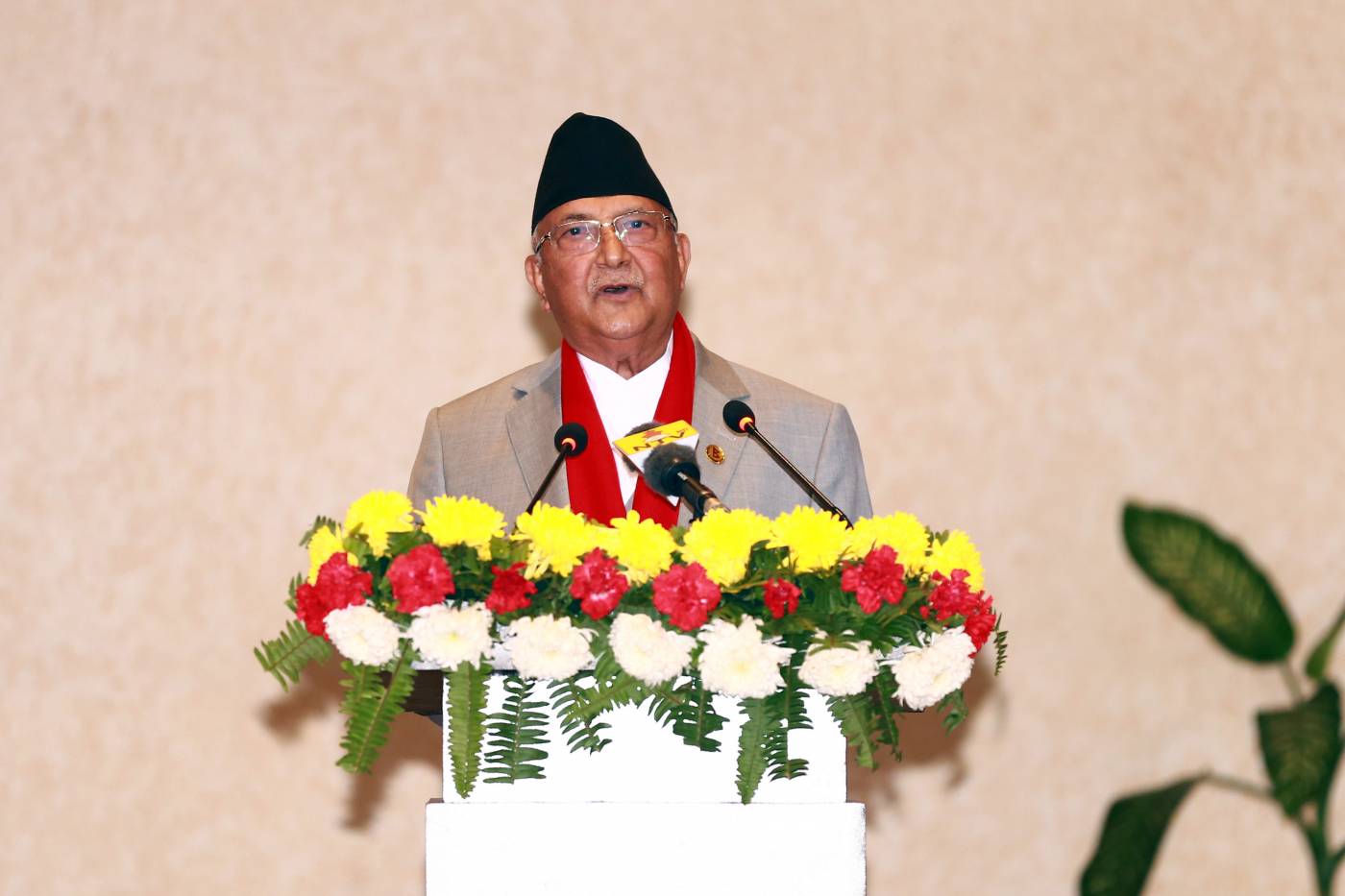 विकास विरोधीहरु सरकार परिर्वतनको खेलमा लागेः प्रधानमन्त्री ओली