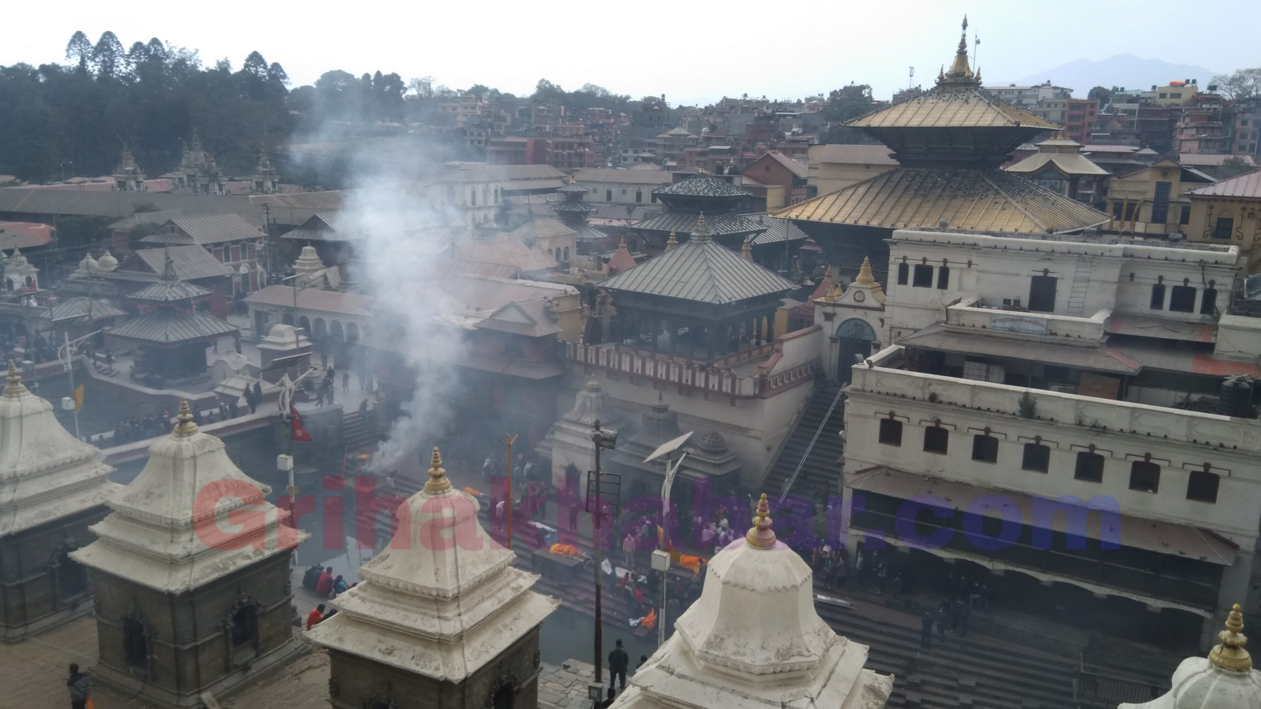 महाशिवरात्रि मनाउन पशुपति क्षेत्र विकास कोषले ११ वटा समिति गठन गर्यो