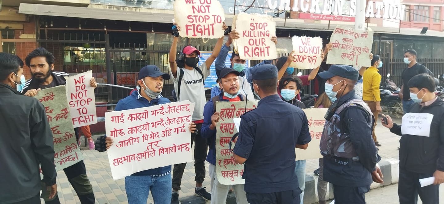 गोरुको मासु खान पाउनुपर्ने माग गर्दै काठमाडौंमा प्रदर्शन