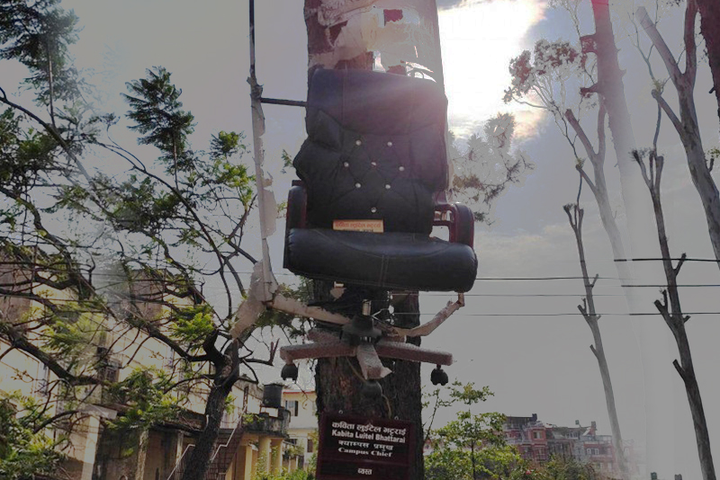 क्याम्पस प्रमुखको कुर्सी रुखमा झुण्ड्याइयो