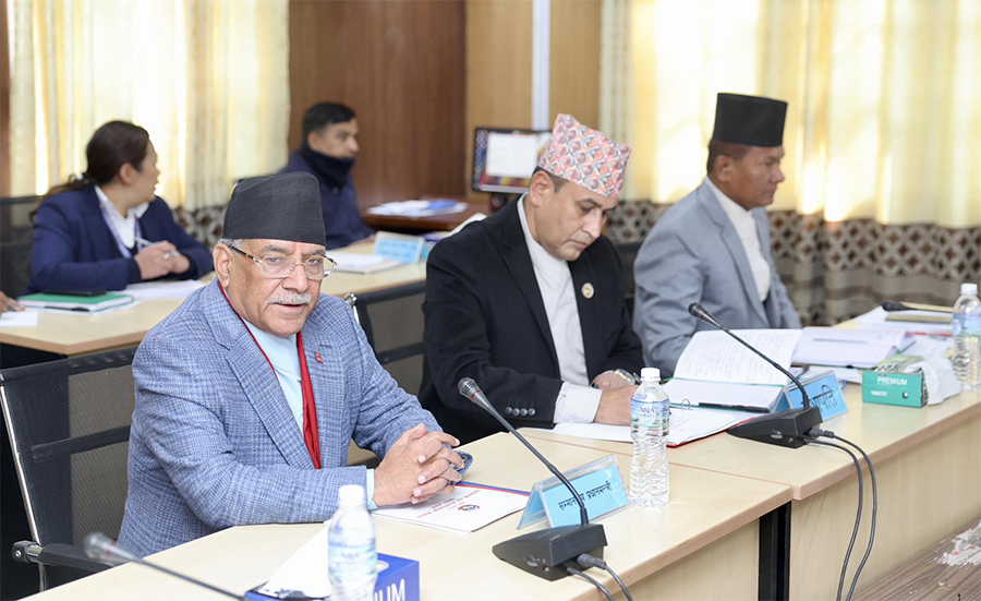 एनसेलको शेयर बिक्री प्रकृया अस्वाभाविक भएको प्रधानमन्त्री प्रचण्डको भनाई