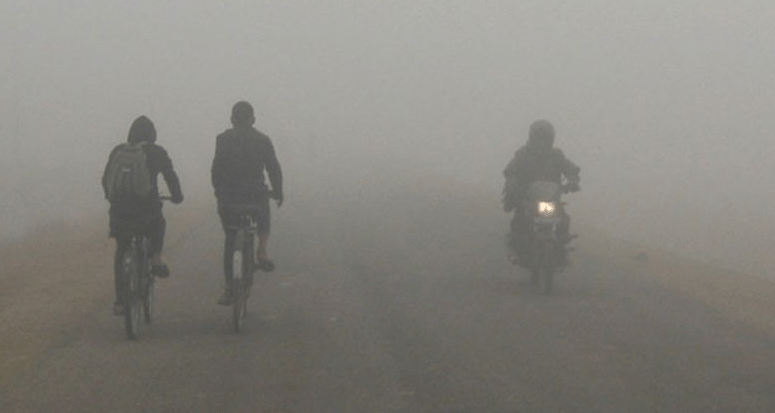 पूर्वी तराईमा चिसोका कारण जनजिवन प्रभावित