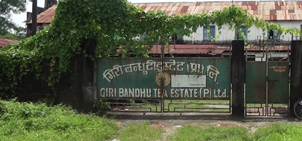 गिरी बन्धु टी स्टेटको जग्गा सट्टाभर्ना गर्न दिने निर्णय बदर