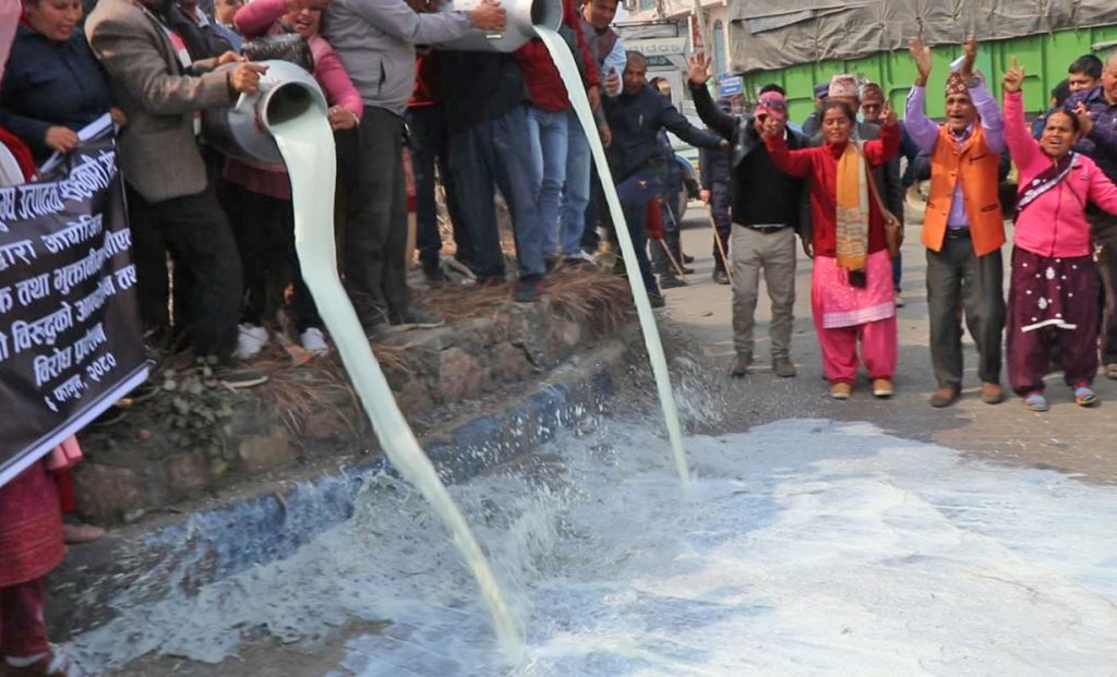 चितवनमा दूध पोखेर आन्दोलन