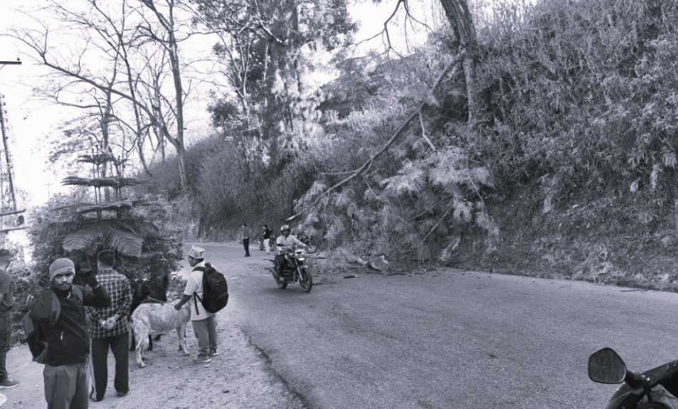 गुडिरहेको मोटरसाइकलमा रुखको हाँगा भाचिँएर लाग्दा श्रीमतीको मृत्यु