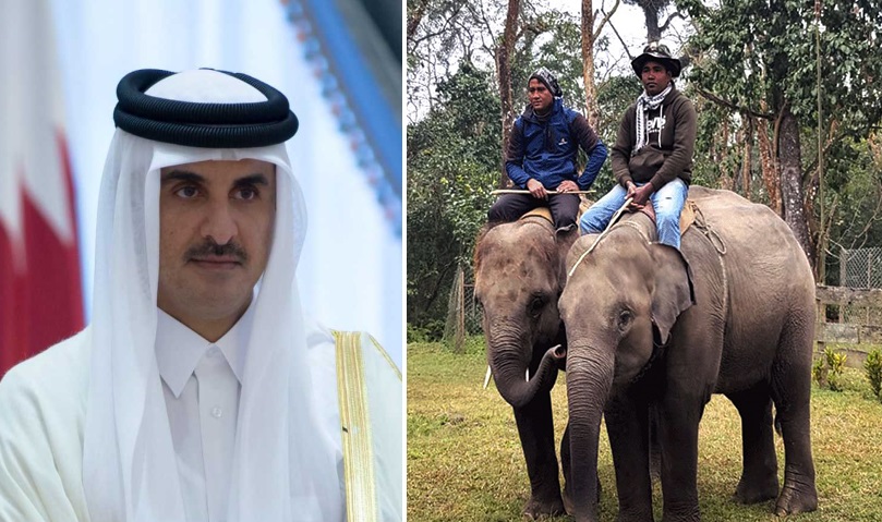 नेपाल सरकारले कतारलाई हात्ती उपहार दिने