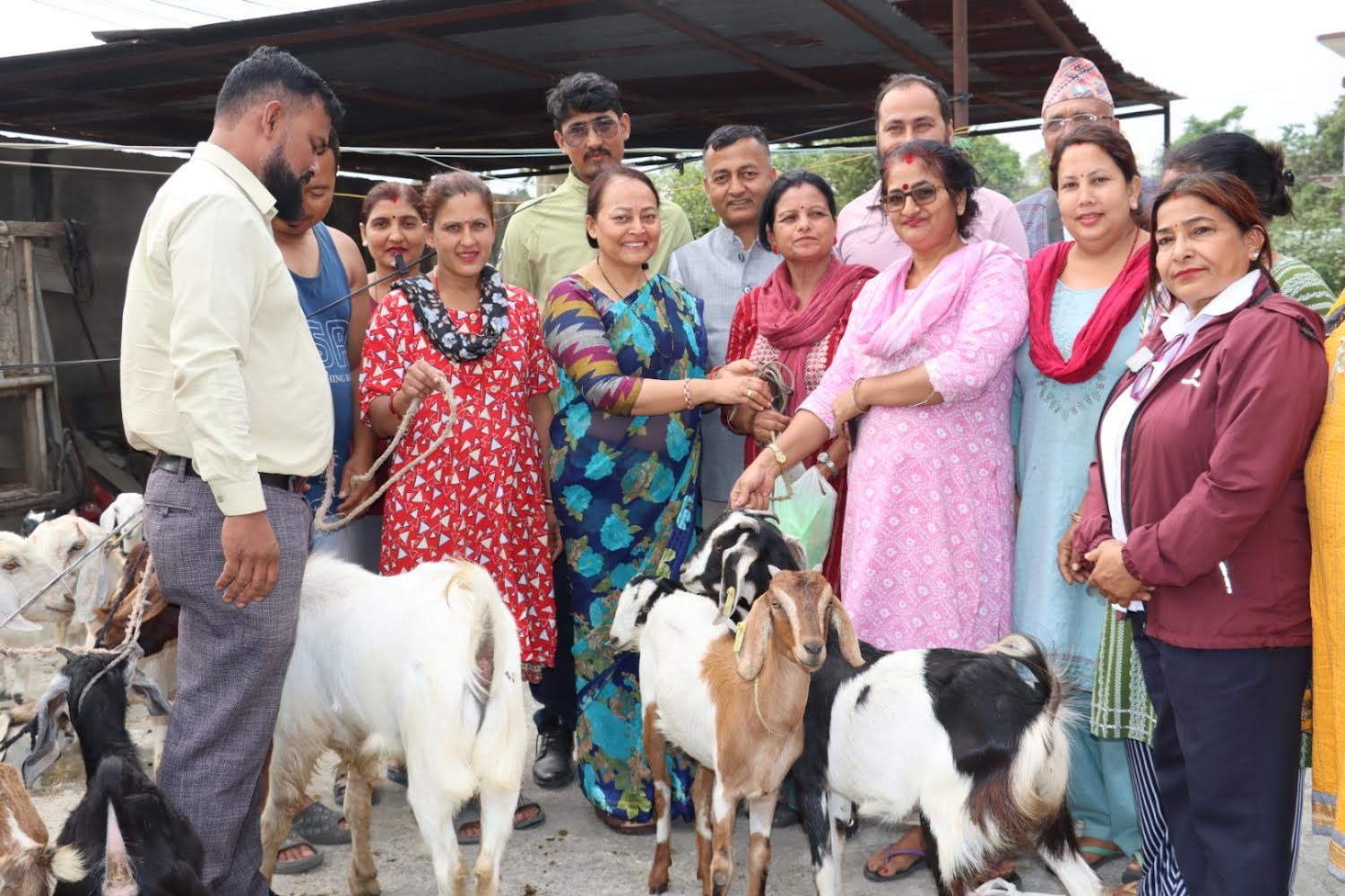 बिर्तामोड नगरद्वरा कृषकहरुलाई ६ सय ७५ वटा बाख्रा वितरण