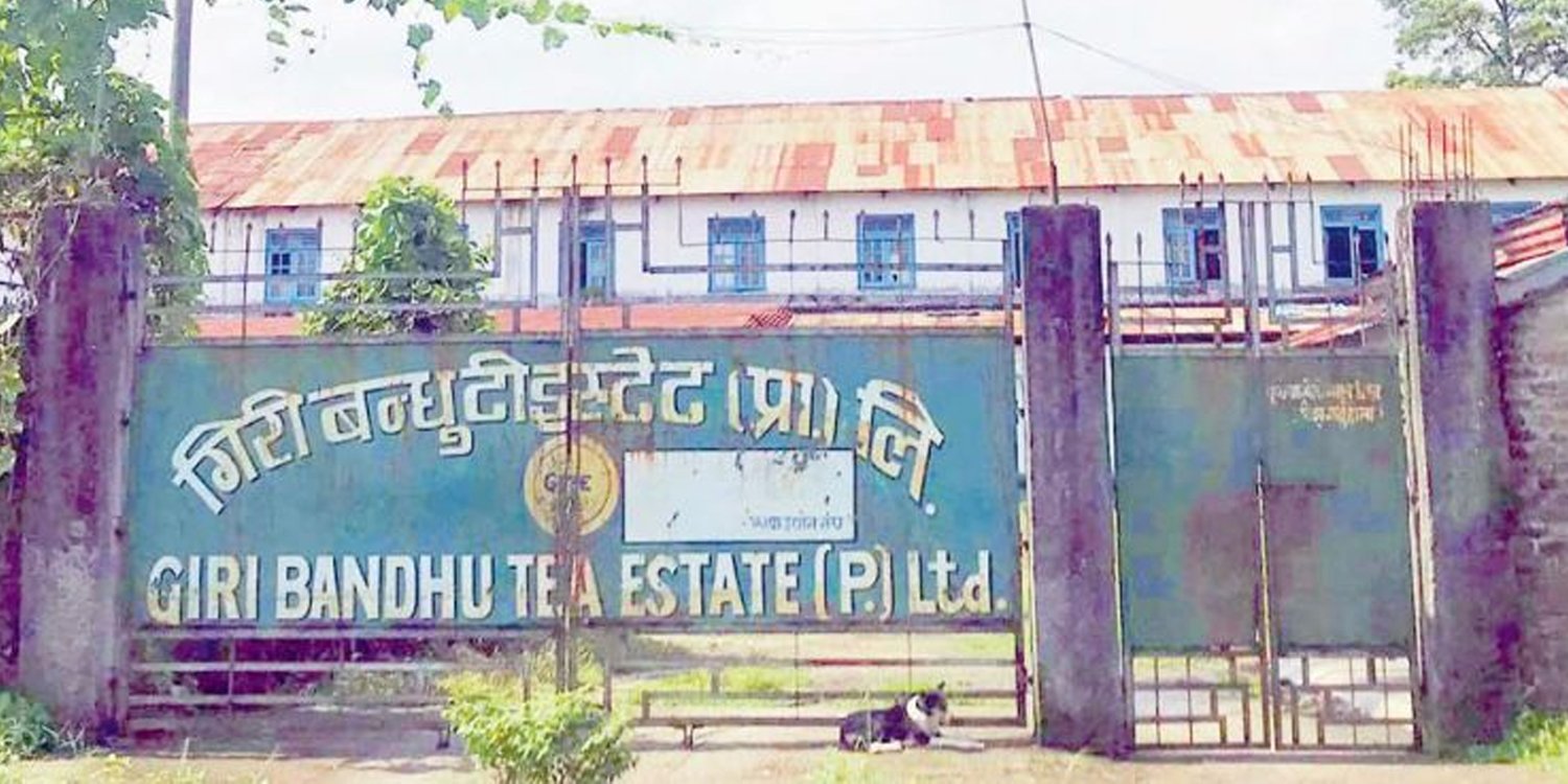 गिरिबन्धु टि इस्टेटको भोगचलनमा रहेको हदभन्दा बढी जग्गा जफत हुने