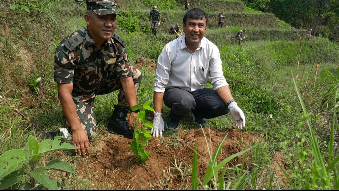 नेपाली सेनाको रणशार्दूल गणद्वारा इलाममा वृक्षरोपण