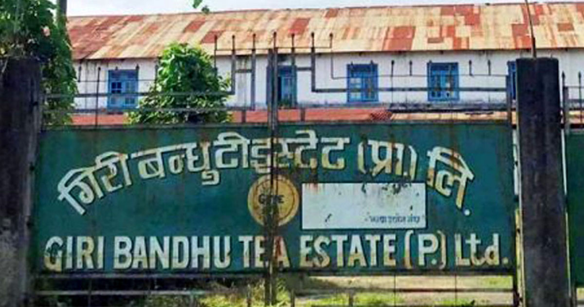 गिरीबन्धु टी–इस्टेटको सातबुँदे स्पष्टीकरण सार्वजनिक