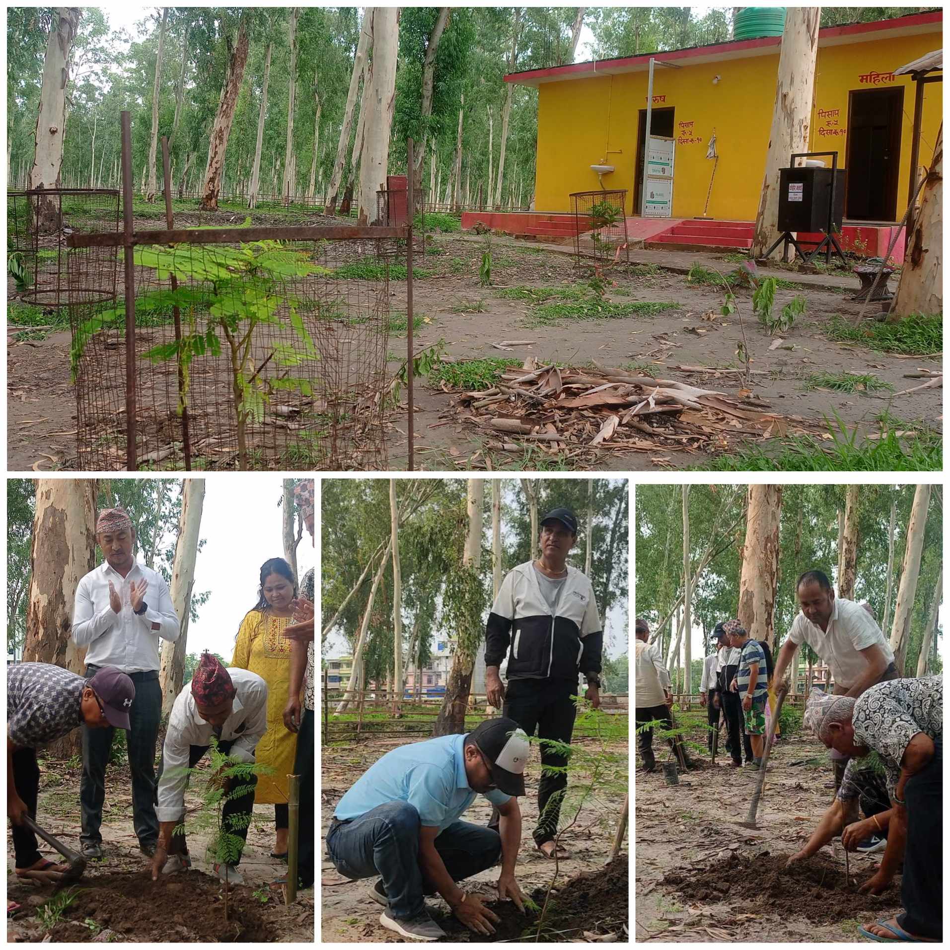 शिबसताक्षी–१ धरमपुरस्थित मिनी पार्क निर्माण गर्न स्थानीयवासी जुटे