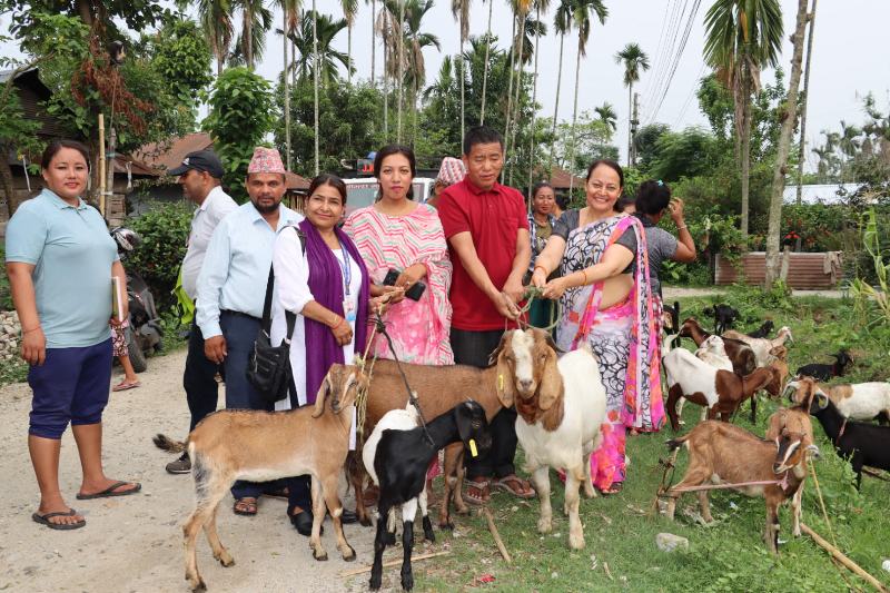 बिर्तामोड नगरपालिकाद्वरा महिला कृषकहरुलाई बाख्रा वितरण