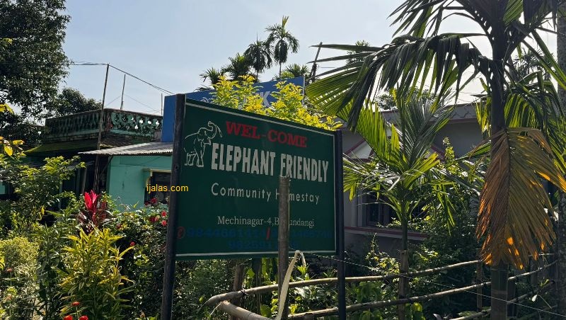 झापामा दुई वर्षदेखि हात्तीमैत्री सामुदायिक होमस्टे सञ्चालनमा