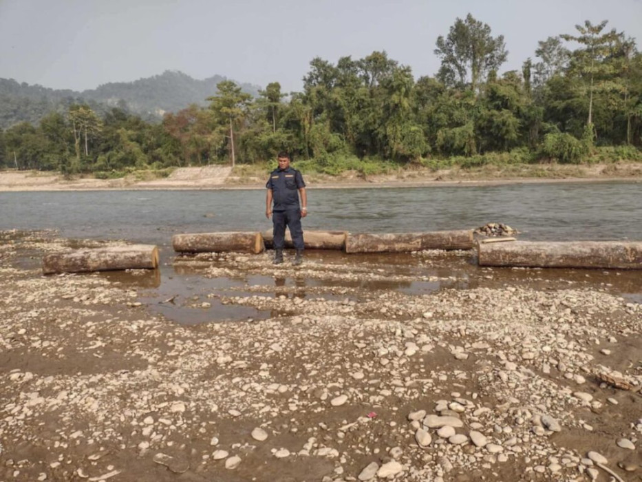 माई खोलामा बगाएर ल्याउदै गरेको सखुवाको गोलिया बरामद