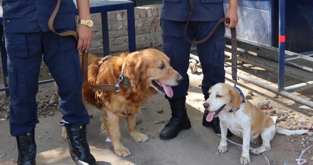 झापामा लागुऔषध नियन्त्रण, रोकथाम तथा पहिचानका लागि ‘डग स्न्यापिङ’