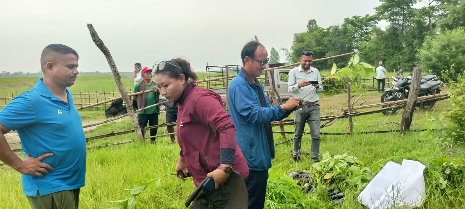 कमल सामुदायिक वनद्वारा वृक्षारोपण कार्यक्रम सम्पन्न